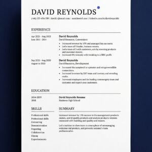Editable ATS Resume